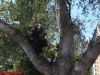 3day2012_sun_2-060